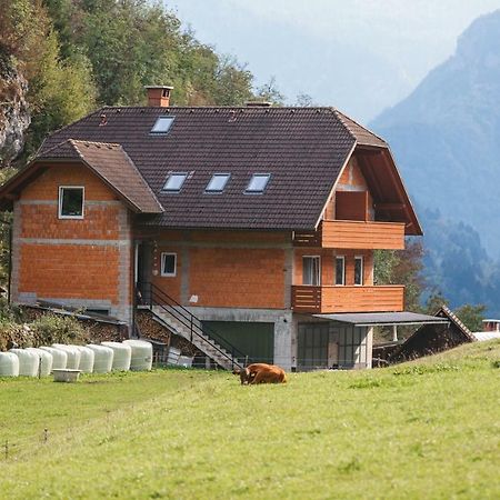 Apartments Dominika Bohinjska Bela Extérieur photo