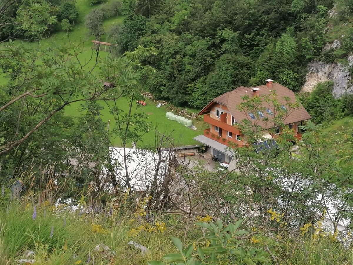 Apartments Dominika Bohinjska Bela Extérieur photo