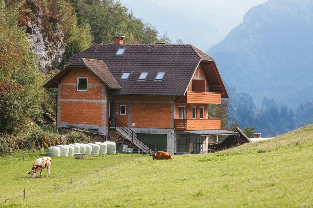 Apartments Dominika Bohinjska Bela Extérieur photo